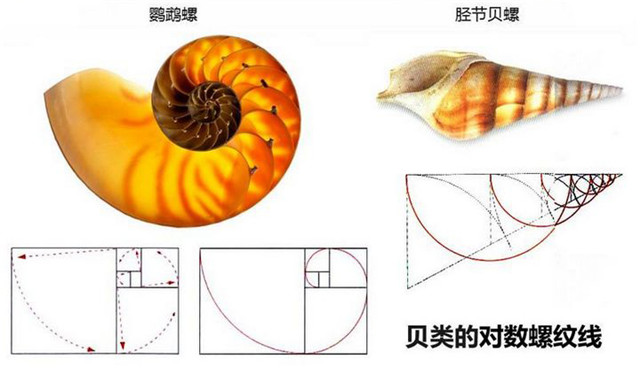 德国地板的鬼斧神工